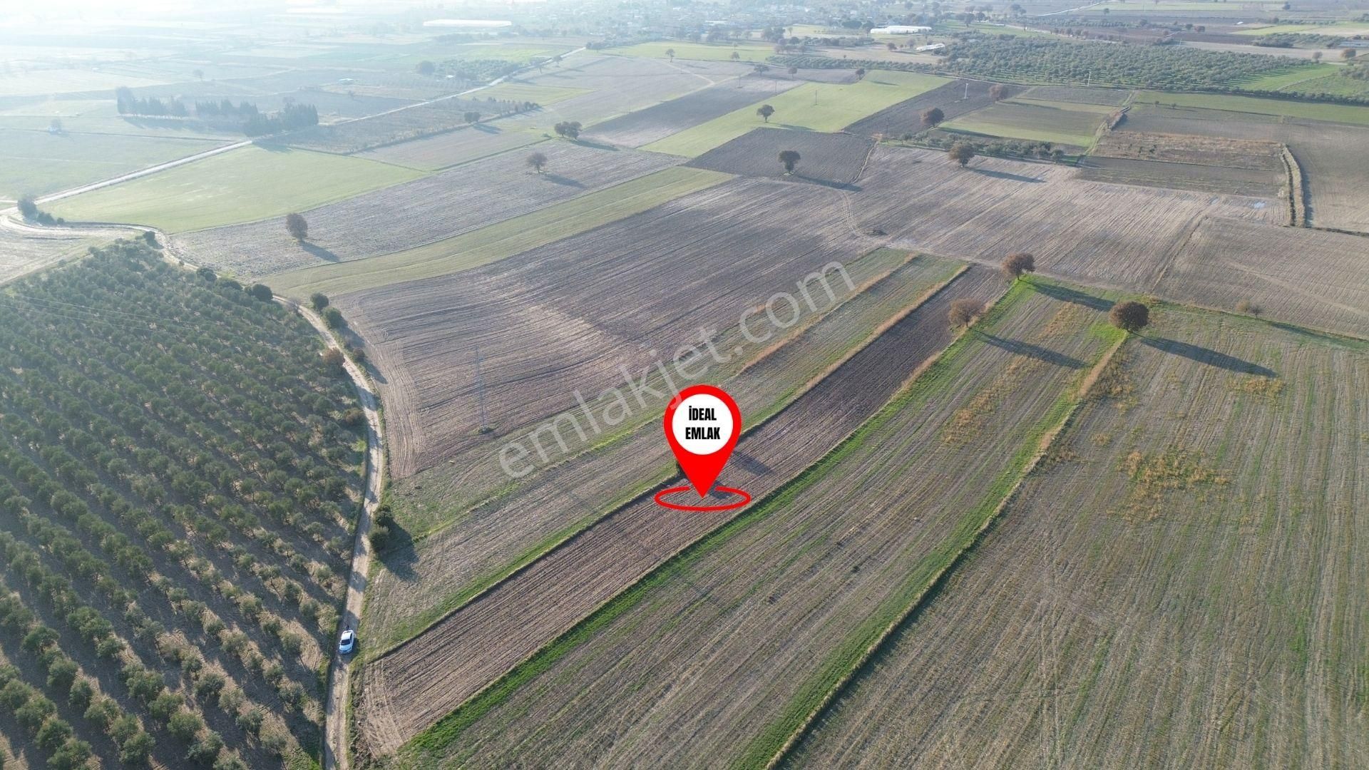 Çanakkale Merkez Halileli Köyünde Yatırımlık Değerli Mevkide 5507 M2 Tarla - Görsel 4