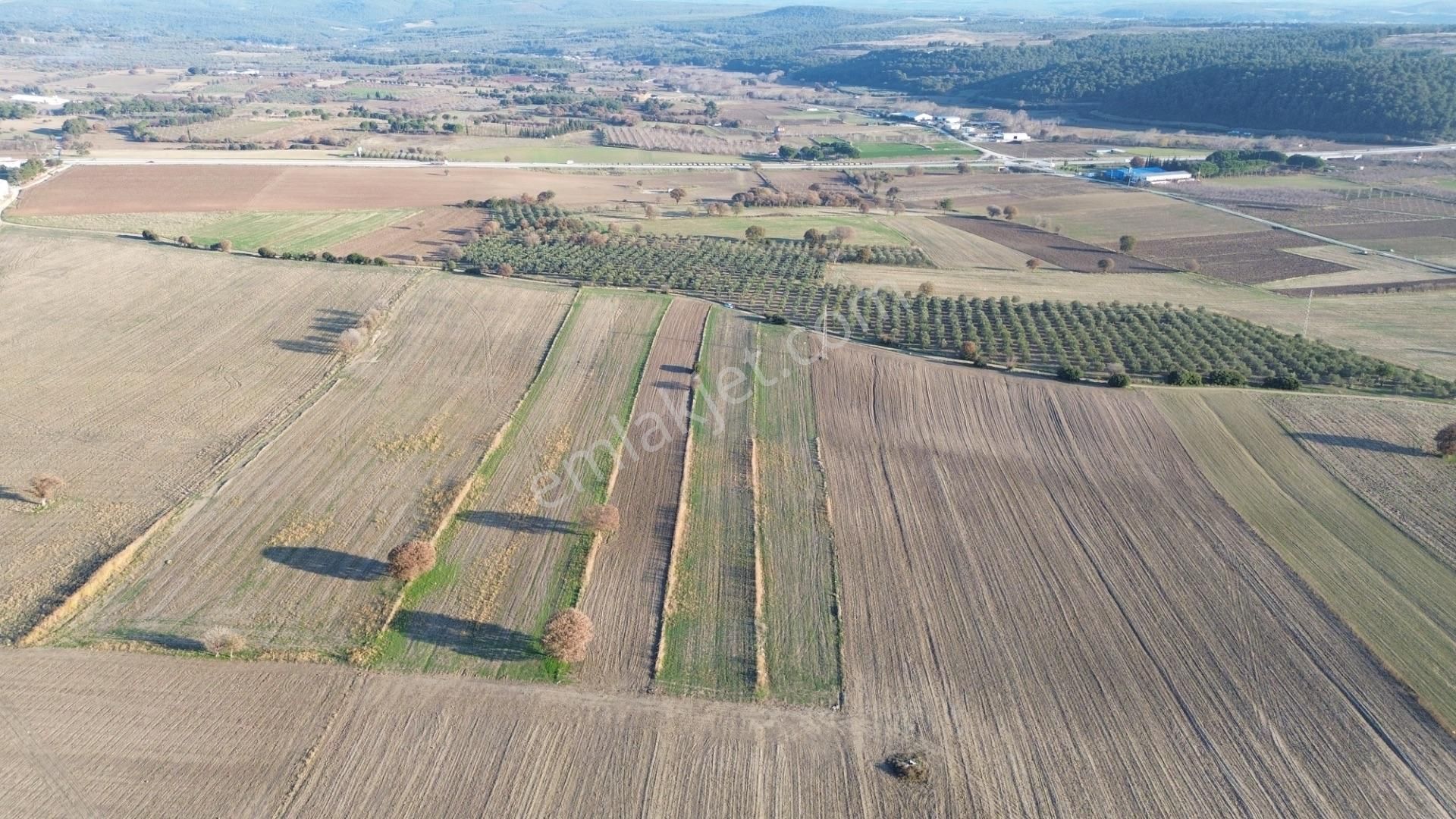 Çanakkale Merkez Halileli Köyünde Yatırımlık Değerli Mevkide 5507 M2 Tarla - Görsel 29