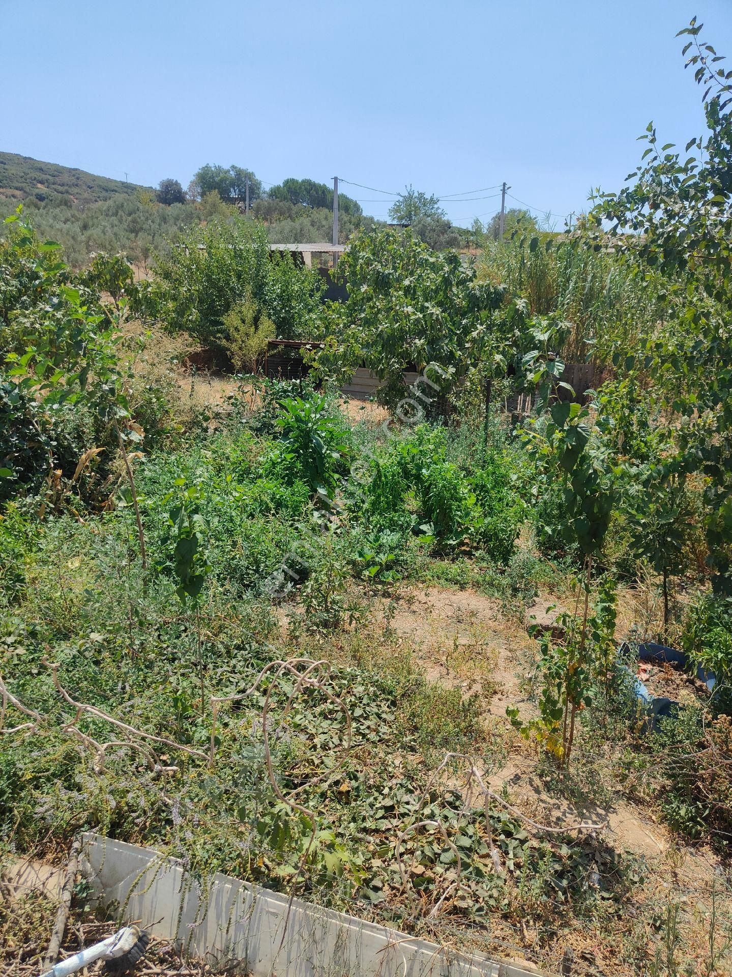 Bayındır Gayrimenkul - Tire Işıklar Satılık 4.410m3 Tarla - Görsel 13