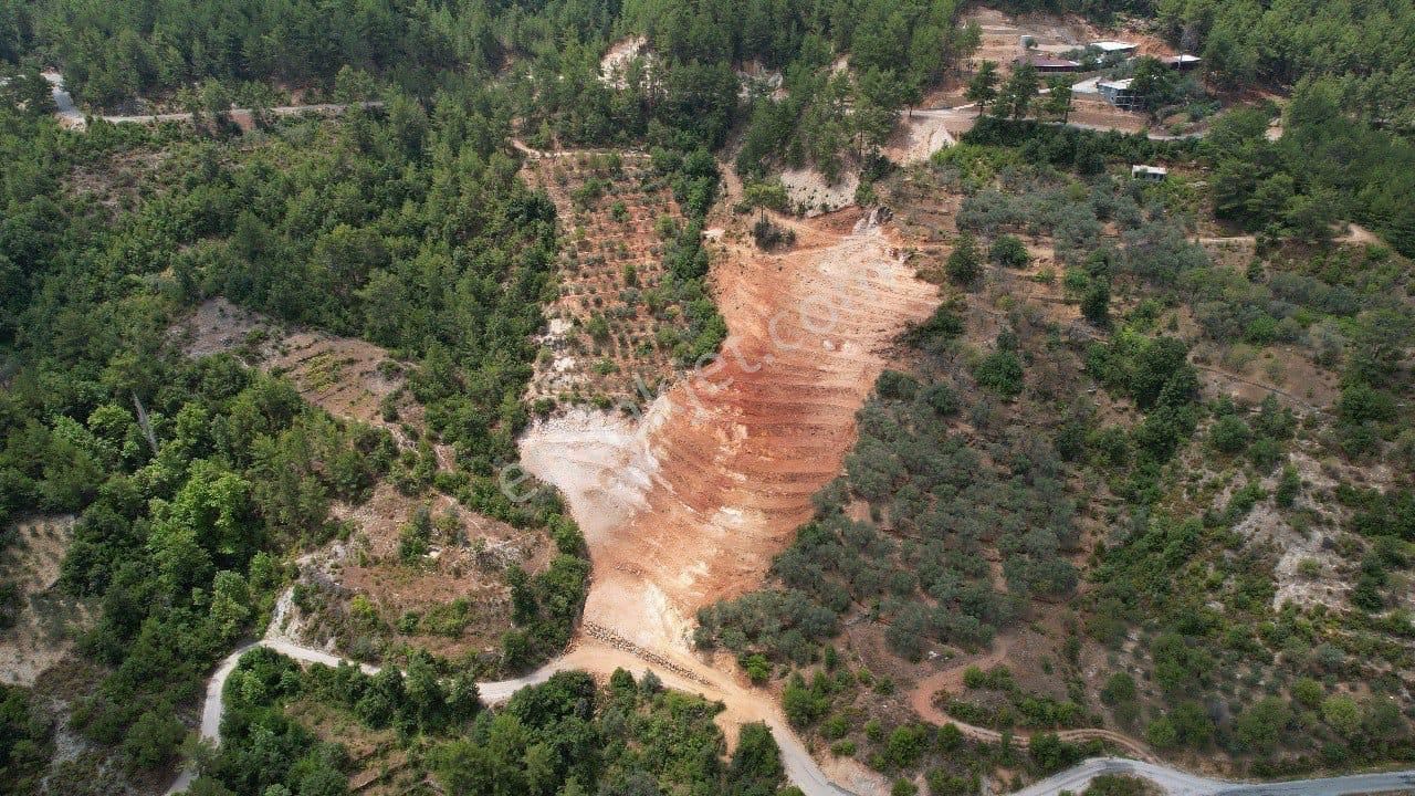 Alanya Türktaş Satılık Tarla ALANYA TÜRTAŞ MAHALLESİN HARFİYATI YAPILMIŞ SATILIK TARLA ÖRS PROPERTYDEN