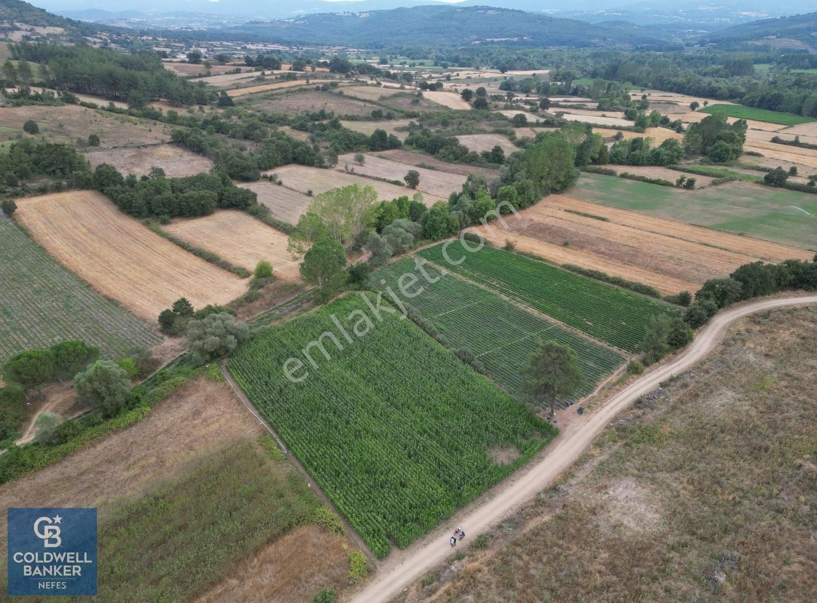 Yenice Karabey Köyü Satılık Tarla Çanakkale Yenice Karabey Köyünde Satılık 4821 M² Tarla !