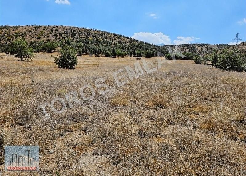 Ulukışla Gümüşköy Köyü (Küme 4) Satılık Tarla TOROS EMLAK'TAN ULUKIŞLA GÜMÜŞ YATIRIMLIK SATILIK TARLA 4500 M2