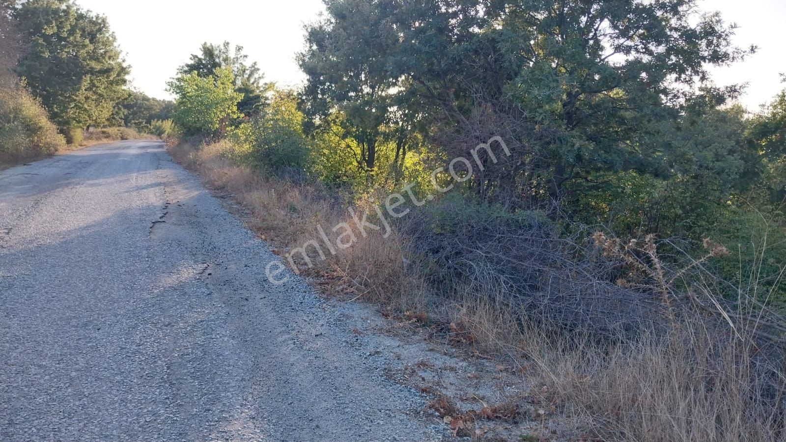 Ayvacık Akçin Köyü Satılık Tarla CANAKKALE AYVACIK AKÇİN KÖYÜNDE TARLA KÖY ASFALTINA SIFIR BAŞARAN EMLAK 