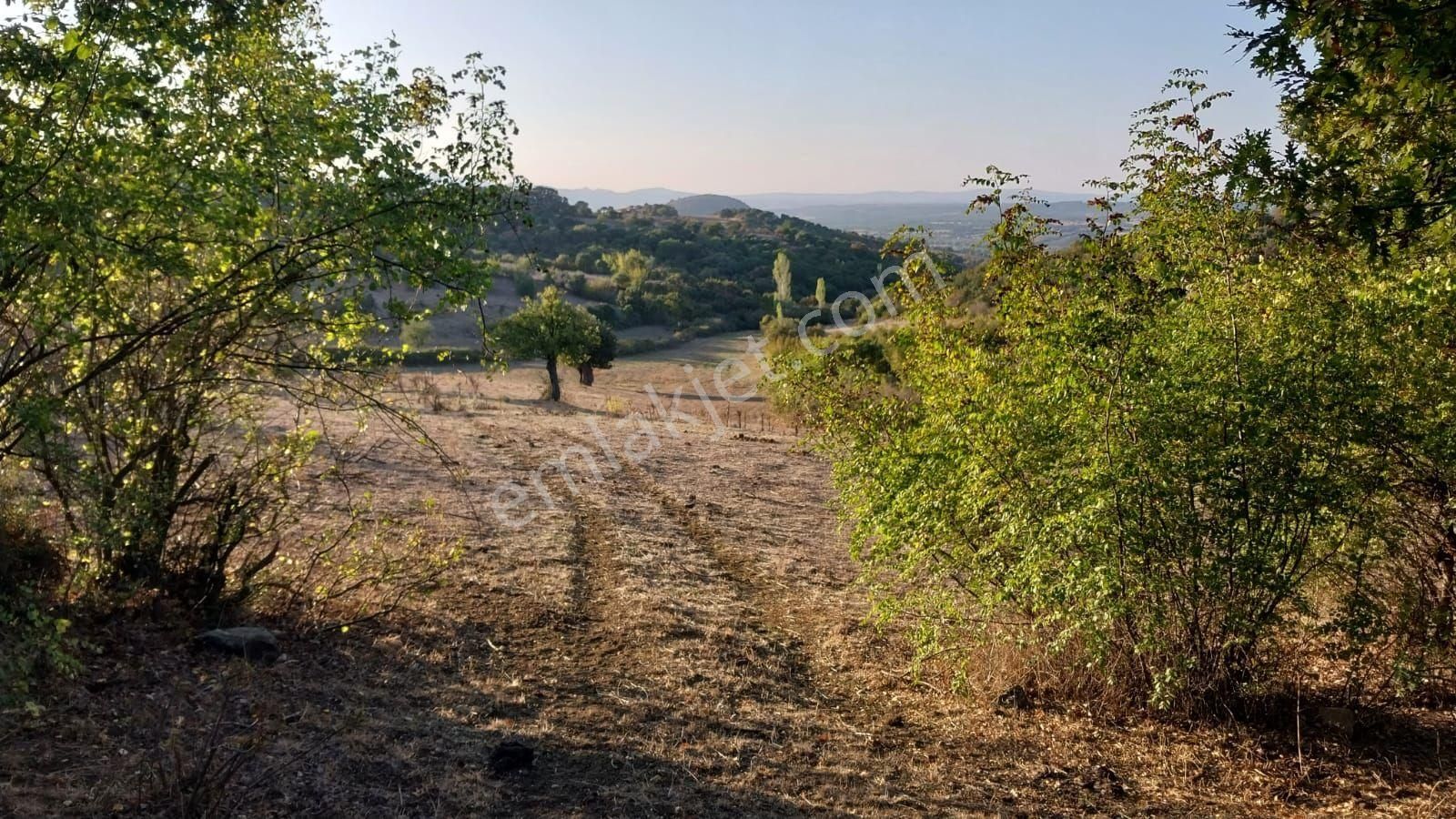 Ayvacık Ahmetçe Köyü Satılık Tarla CANAKKALE AYVACIK AHMETÇE KÖYÜNDE TARLA 1200 M2 DENİZE 5 KİLOMETRE UZAKLIKTA BAŞARAN EMLAK 