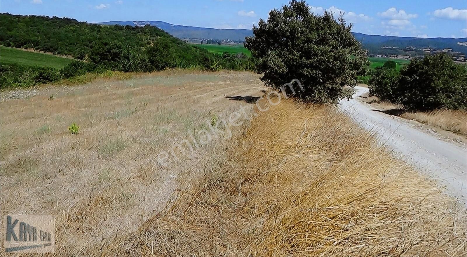 Manyas Dura Satılık Tarla BALIKESİR MANYAS YOL SU VAR 24500 M2 TARLA