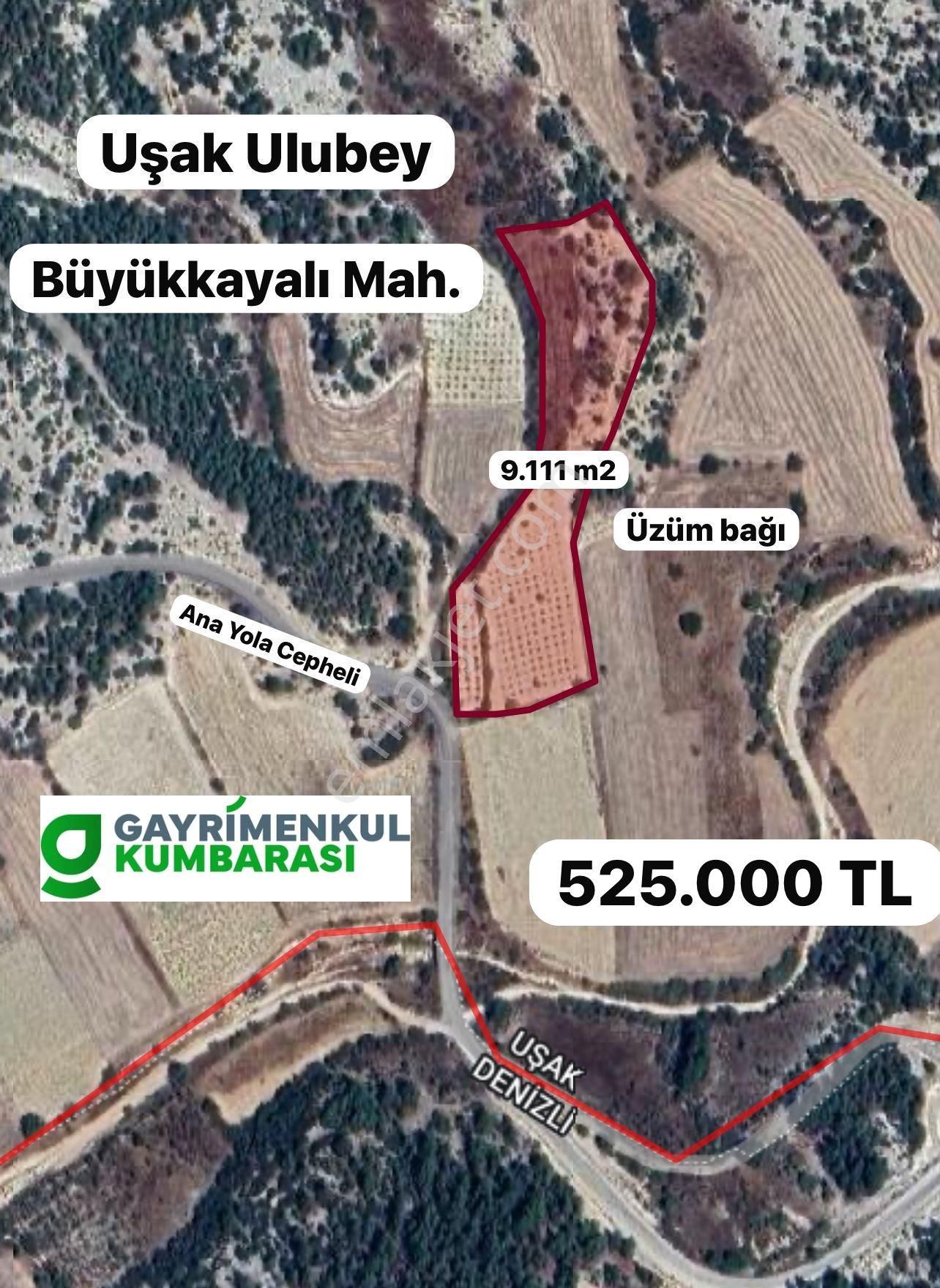 Ulubey Büyükkayalı Köyü Satılık Bağ & Bahçe  UŞAK ULUBEY BÜYÜKKAYALI MAH. ASFALT ÜZERİ BAĞ