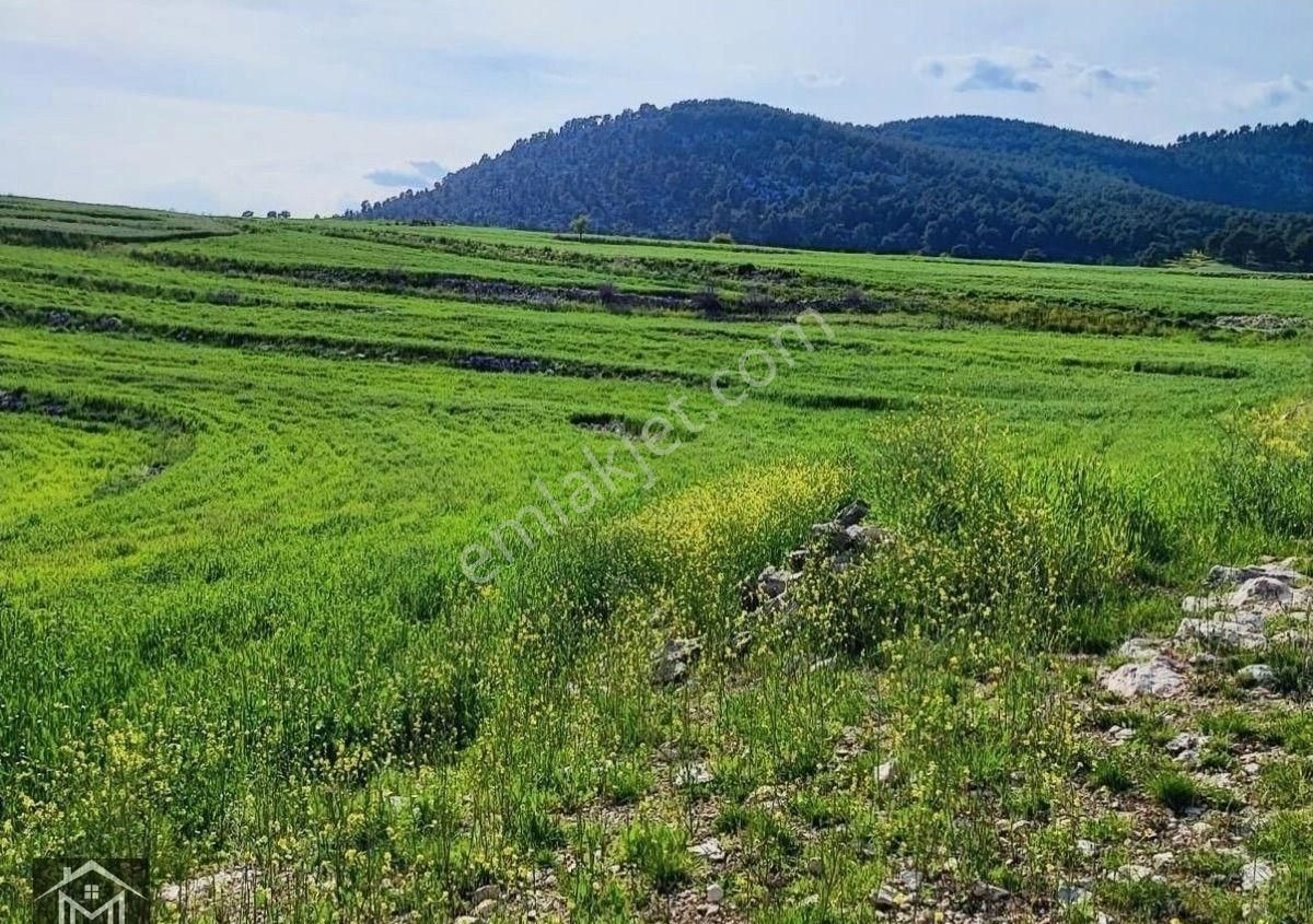 Tarsus Sanlıca Satılık Tarla Mercan ‘dan Hayvan Çifliğine Uygun Boş Tarla