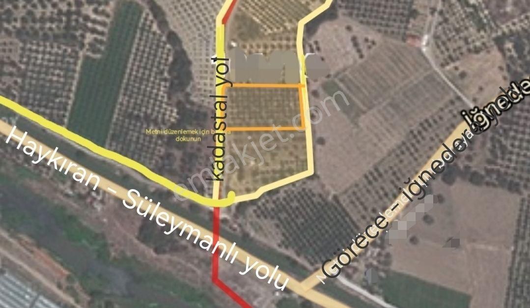Menemen İğnederede Harika Konumda 5 Dönüm Satılık Zeytinlik - Görsel 2