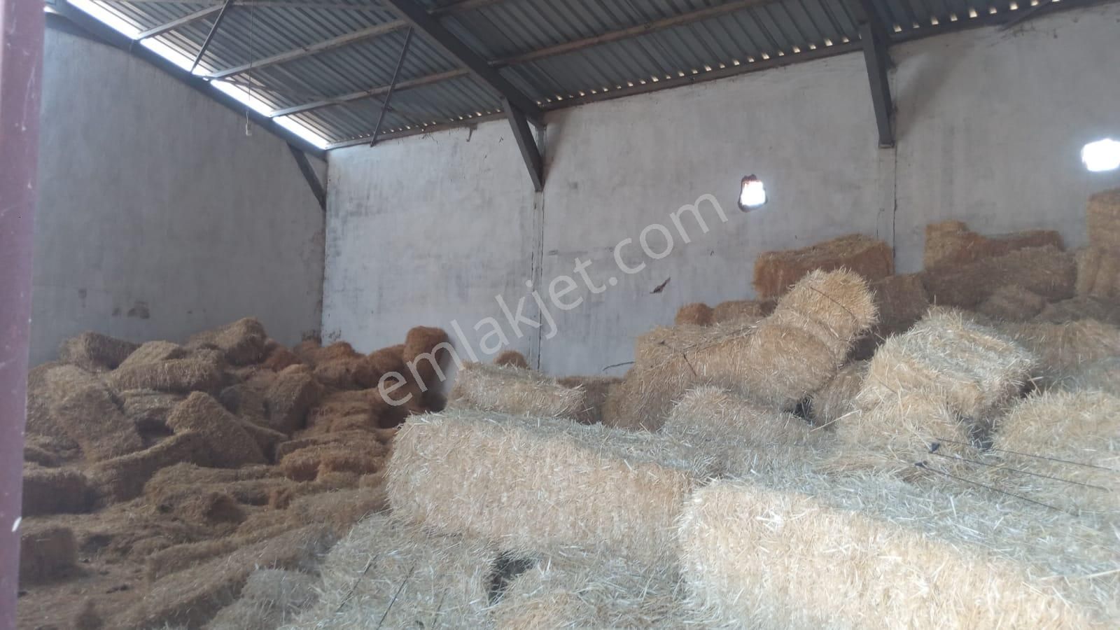 Damla Emlaktan Porsuk Köyü Yanında Satılık Çiftlik - Görsel 10