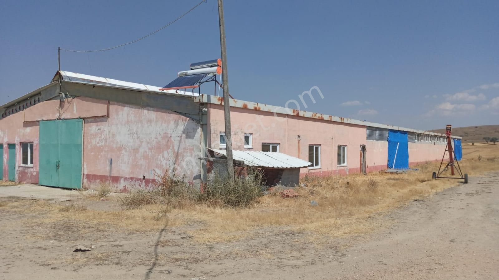 Damla Emlaktan Porsuk Köyü Yanında Satılık Çiftlik - Görsel 2