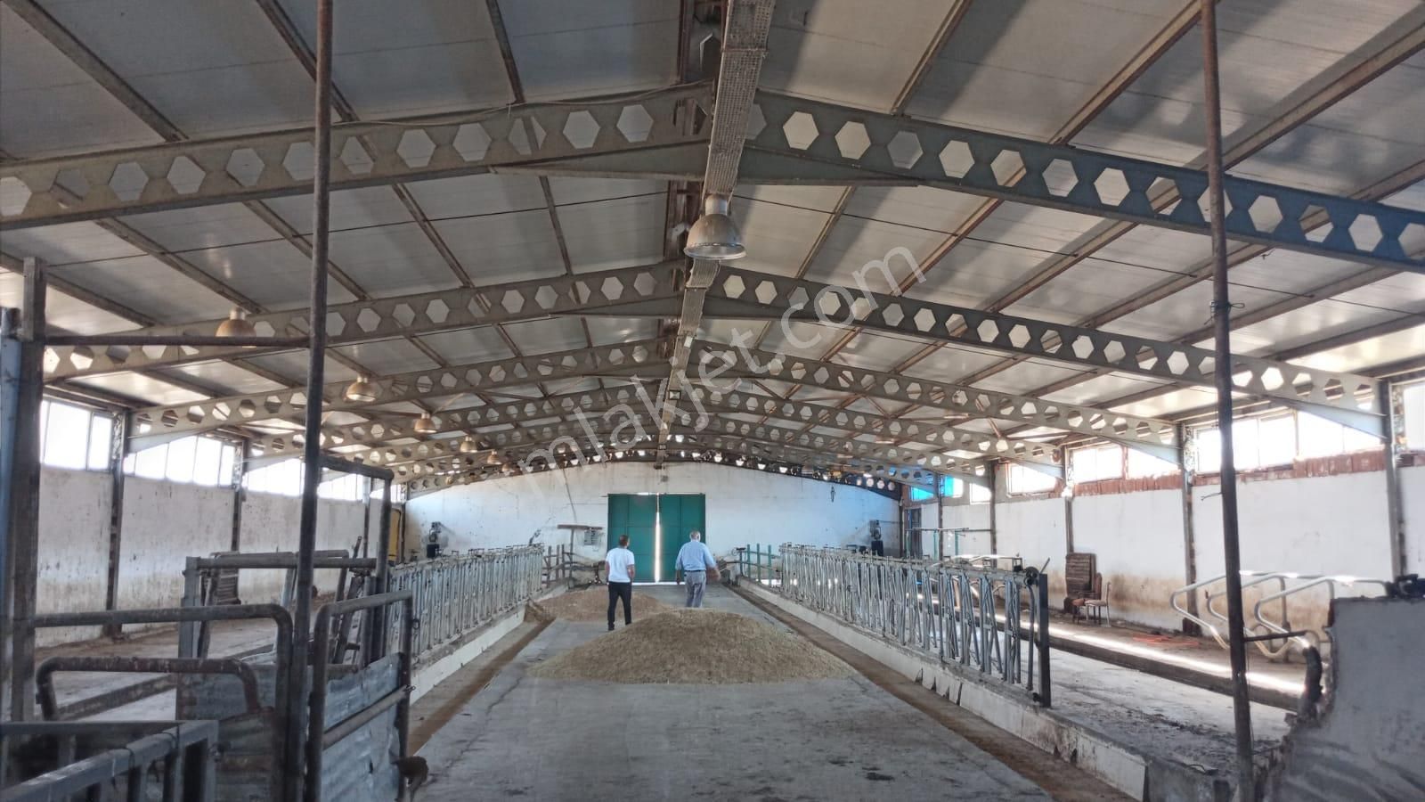 Damla Emlaktan Porsuk Köyü Yanında Satılık Çiftlik - Görsel 13