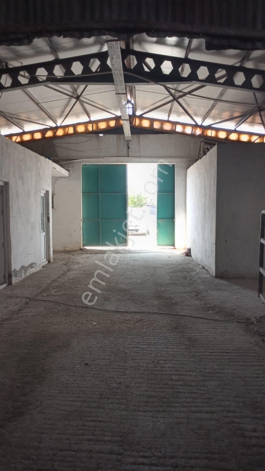 Damla Emlaktan Porsuk Köyü Yanında Satılık Çiftlik - Görsel 16