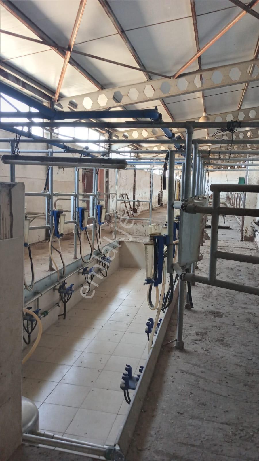 Damla Emlaktan Porsuk Köyü Yanında Satılık Çiftlik - Görsel 18