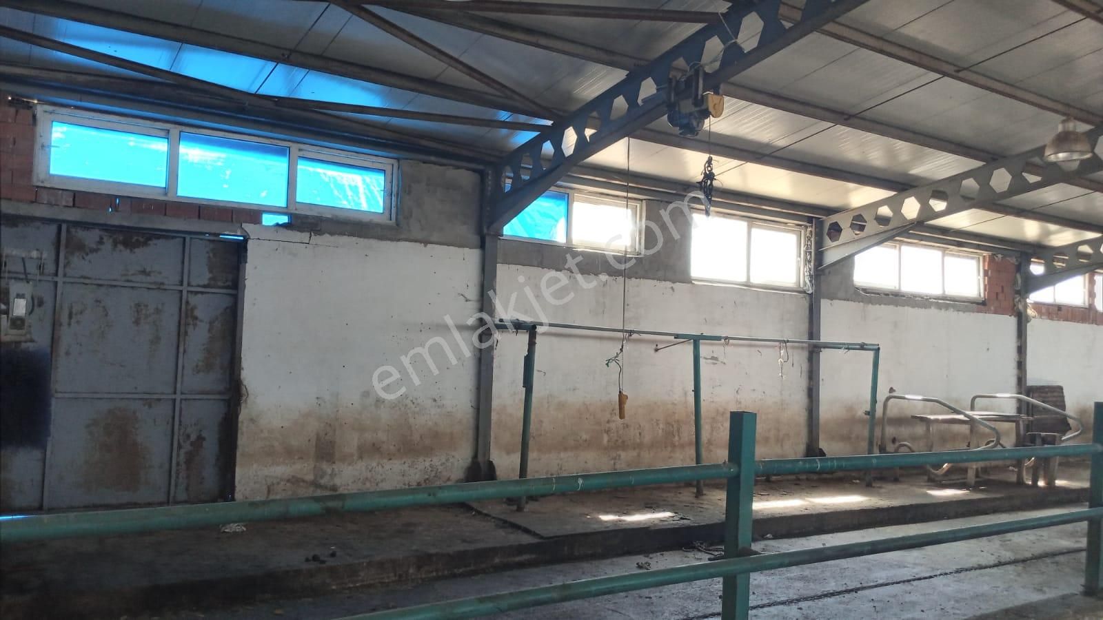 Damla Emlaktan Porsuk Köyü Yanında Satılık Çiftlik - Görsel 12