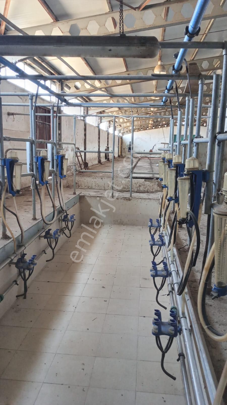 Damla Emlaktan Porsuk Köyü Yanında Satılık Çiftlik - Görsel 14