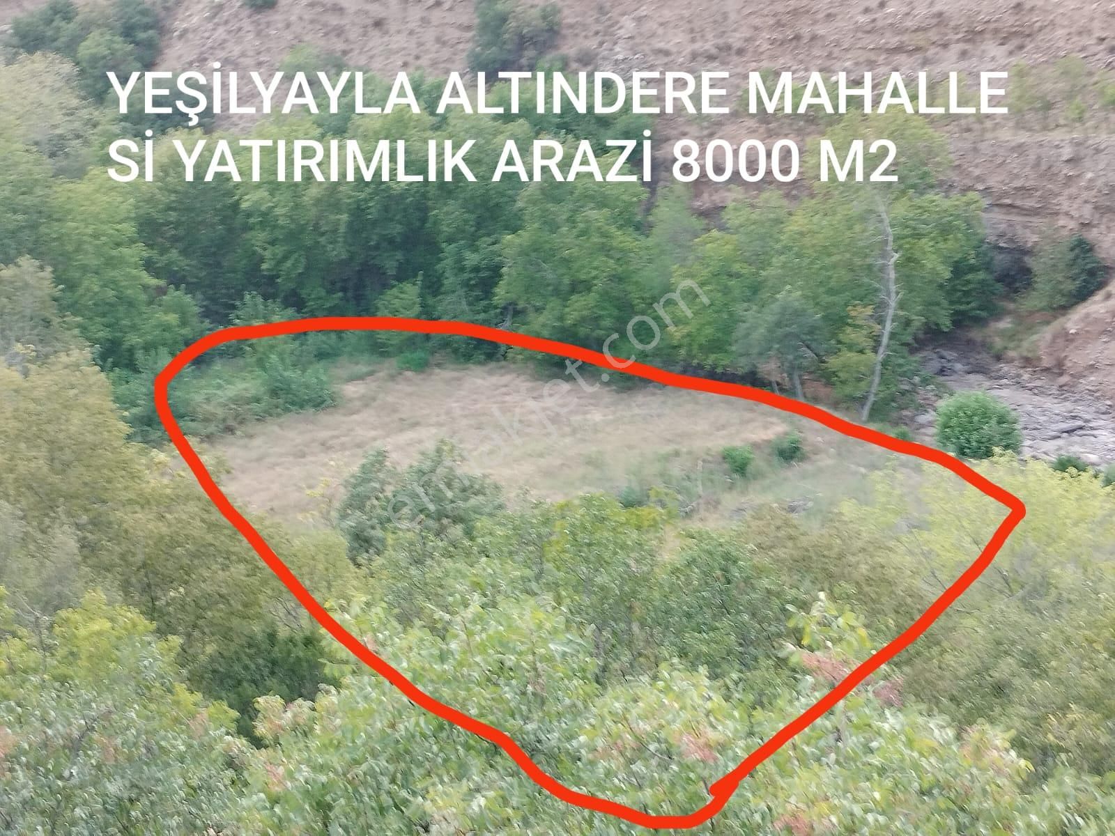 Merkezefendi Altındere Satılık Tarla Merkezefendi Altındere Mahallesi 8010 m2.Yolu olan Su ve elektrik imkanı olan  satılık arazi