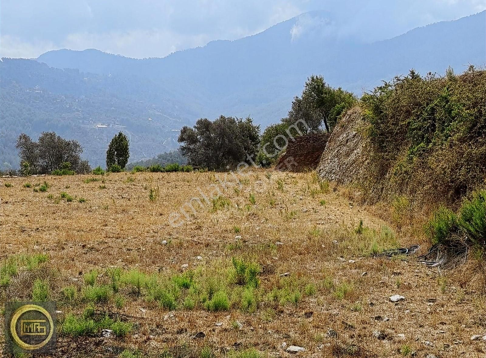 Alanya Yeniköy Satılık Tarla YENİKÖYDE SATILIK TARLA