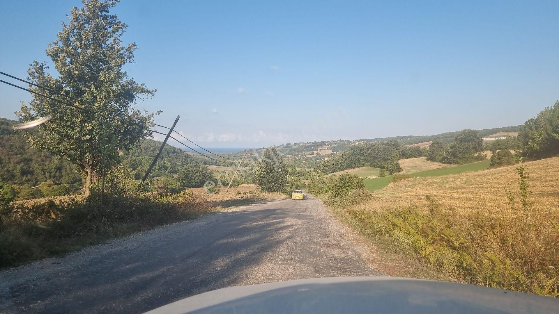 Sinop Merkez Taypaklı Köyü (Tunustoğlu) Satılık Tarla  Sinop Taypaklı Sahibinden satılık tarla