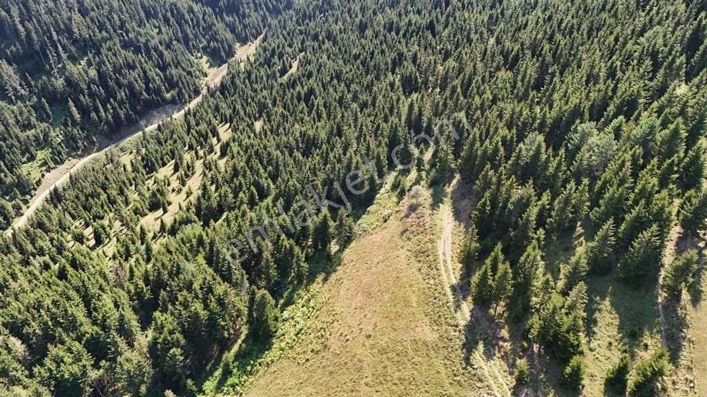 Düzköy Yerlice Satılık Tarla Abdi Bostan Gayrimenkul'den Düzköy Yerlice'de Satılık Araziler​