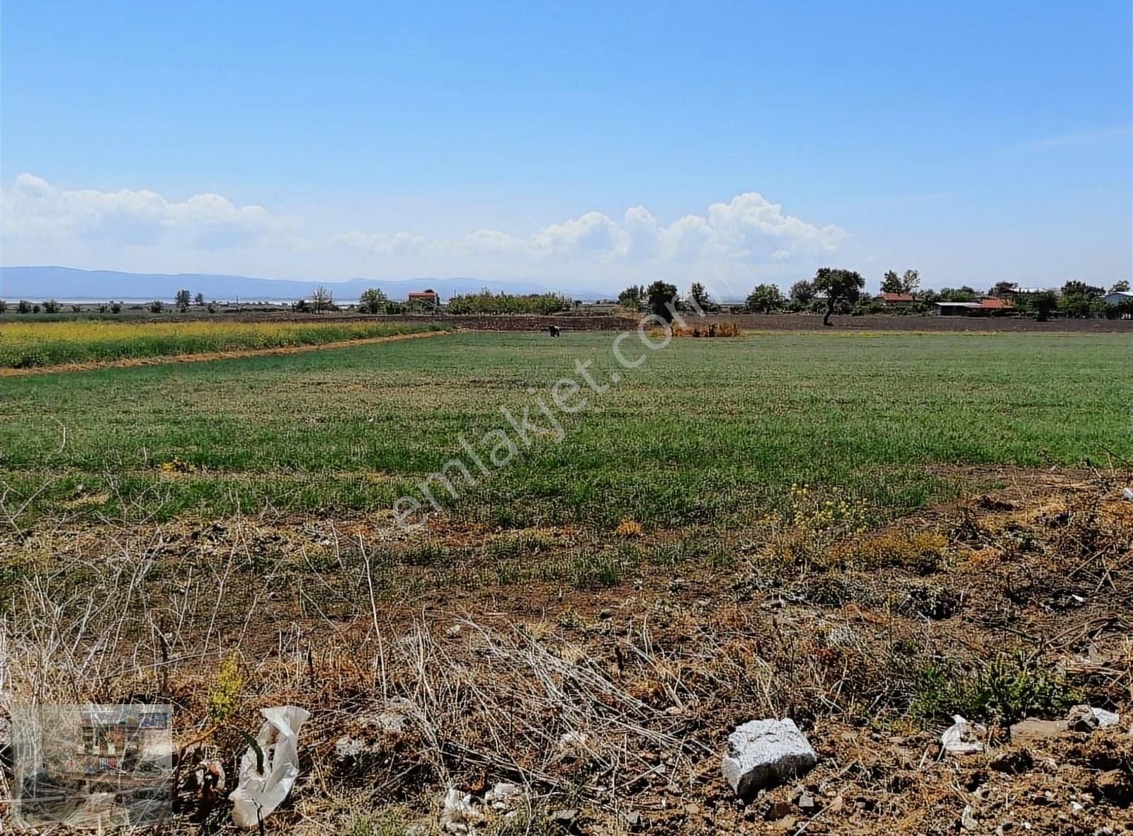 Karacabey Gölkıyı Satılık Tarla Src Emlaktan Bursa Karacabey Gölkıyı Mah.de Tek Tapu Yatırımlık