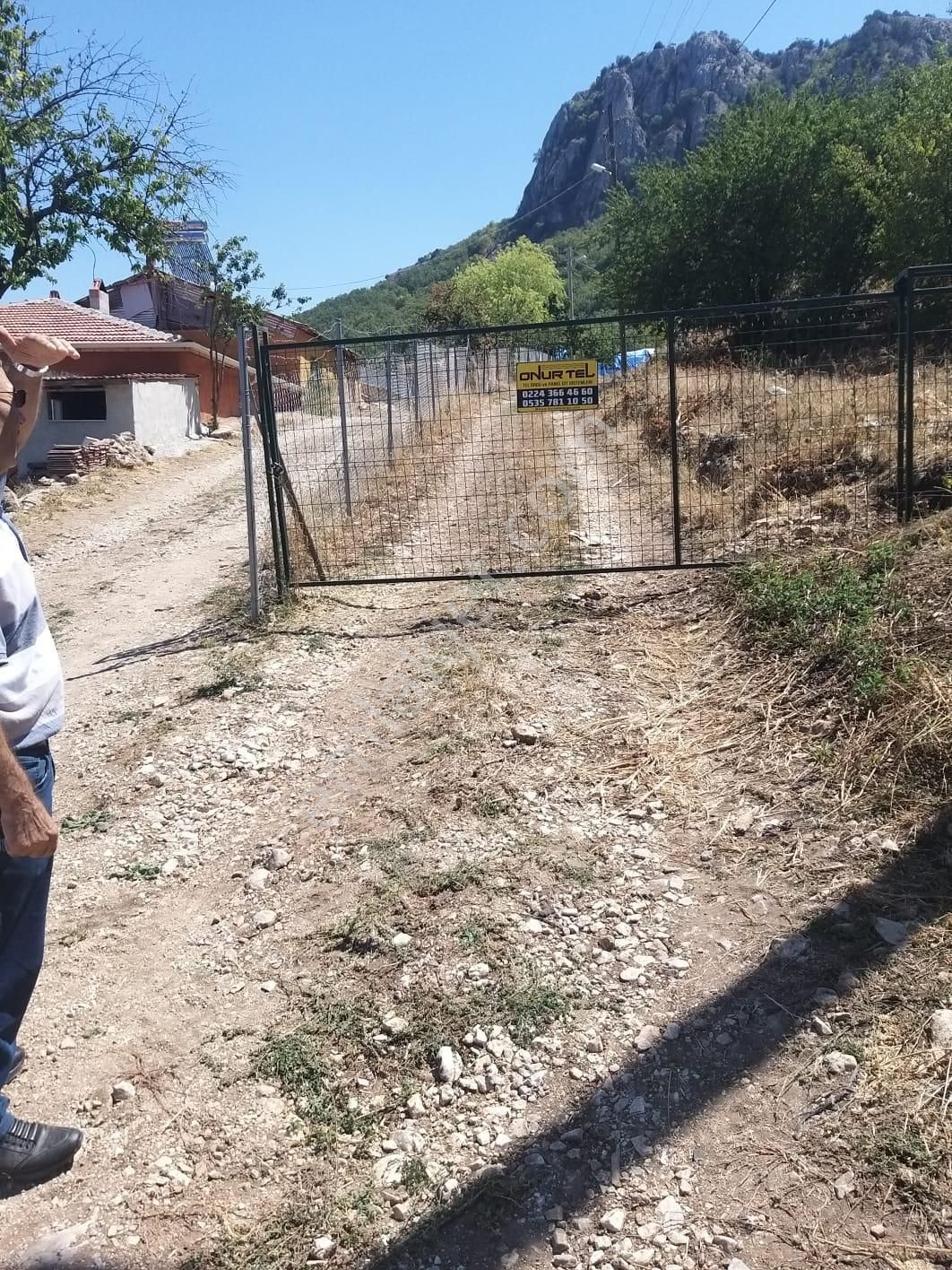 Bilecik Bozüyük Kuyupınar Köyünde Satılık Çiftlik - Görsel 4