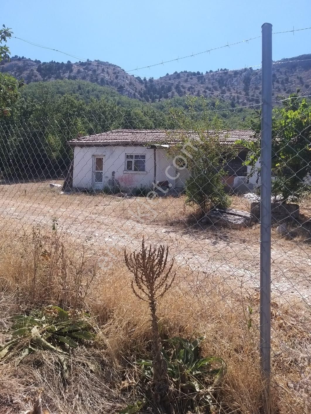 Bozüyük Kuyupınar Köyü Satılık Çiftlik Bilecik Bozüyük Kuyupınar Köyünde Satılık Çiftlik