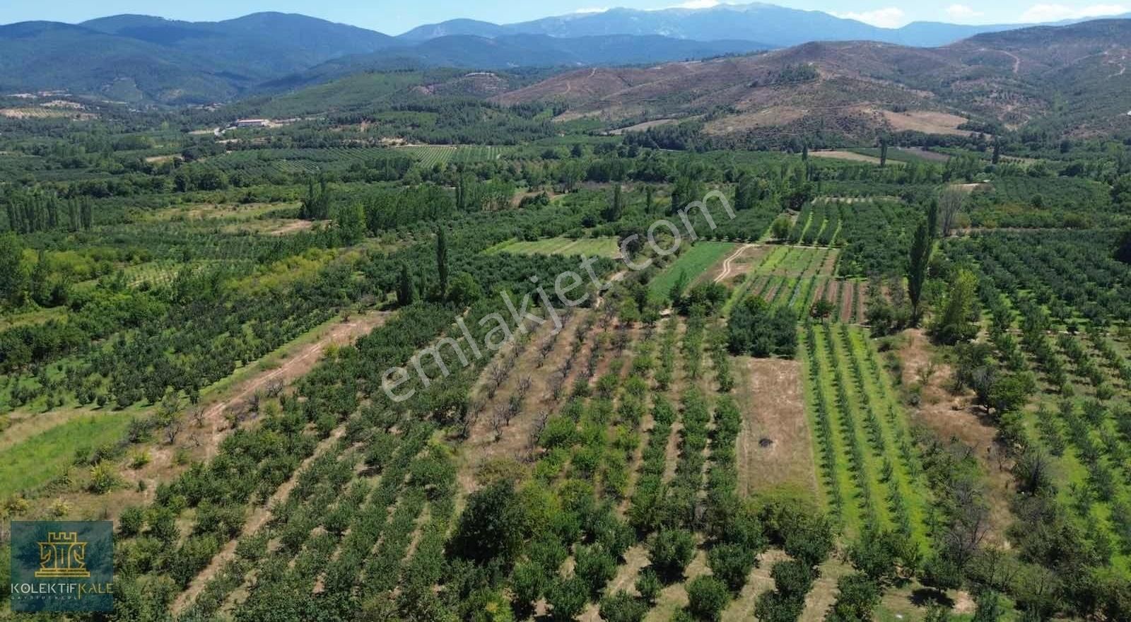 Bayramiç Tongurlu Köyü Satılık Tarla ÇANAKKALE BAYRAMİÇ TONGURLU KÖYÜ SATILIK MEYVE BAHÇESİ