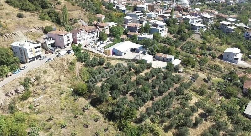 Osmangazi Dürdane Satılık Zeytinlik BURSA DÜRDANE MERKEZDE SATILIK ARAZİ