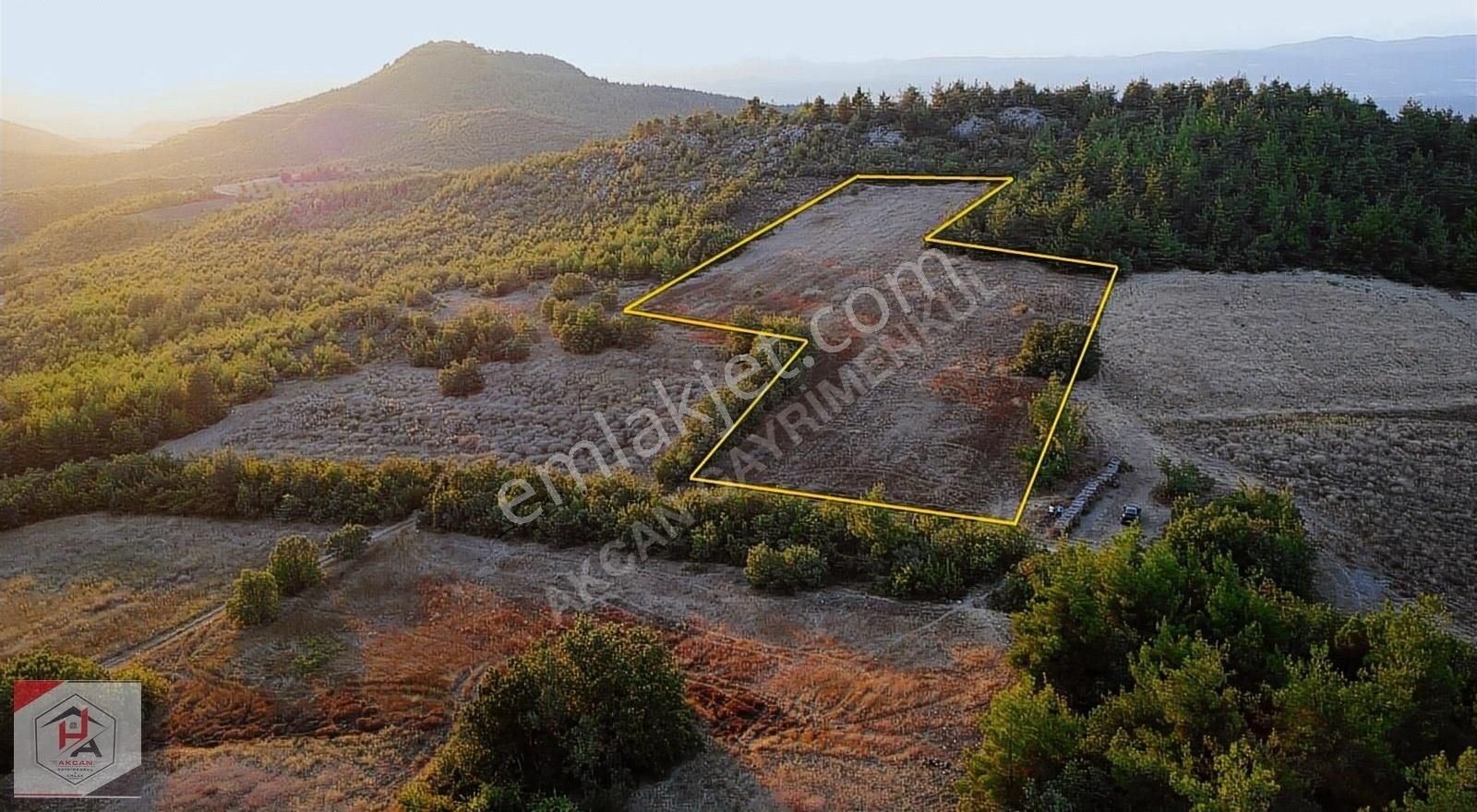 Osmaneli Medetli Köyü Satılık Bağ & Bahçe BİLECİK OSMANELİ MEDETLİ MAHALLESİNDE 12,400 M2 . 2 TAPU BİRDEN