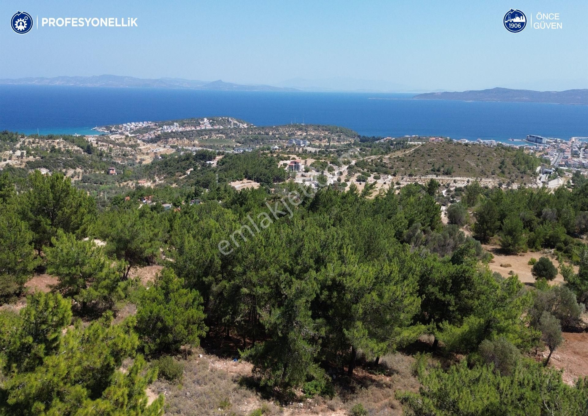 Karaburun Mordoğan Satılık Tarla  Karaburun Mordoğan'da Oksijeni Bol Yatırımlık Tarla