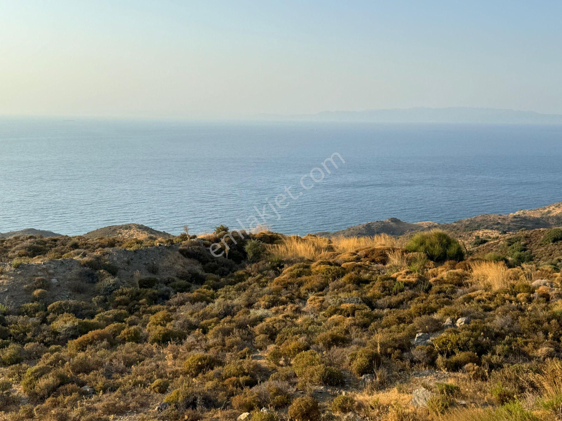 Karaburun Sarpıncık Satılık Tarla  Panoramik Deniz Manzaralı Kadastral Yolu Olan Tarım İmarına Uygun Tarla