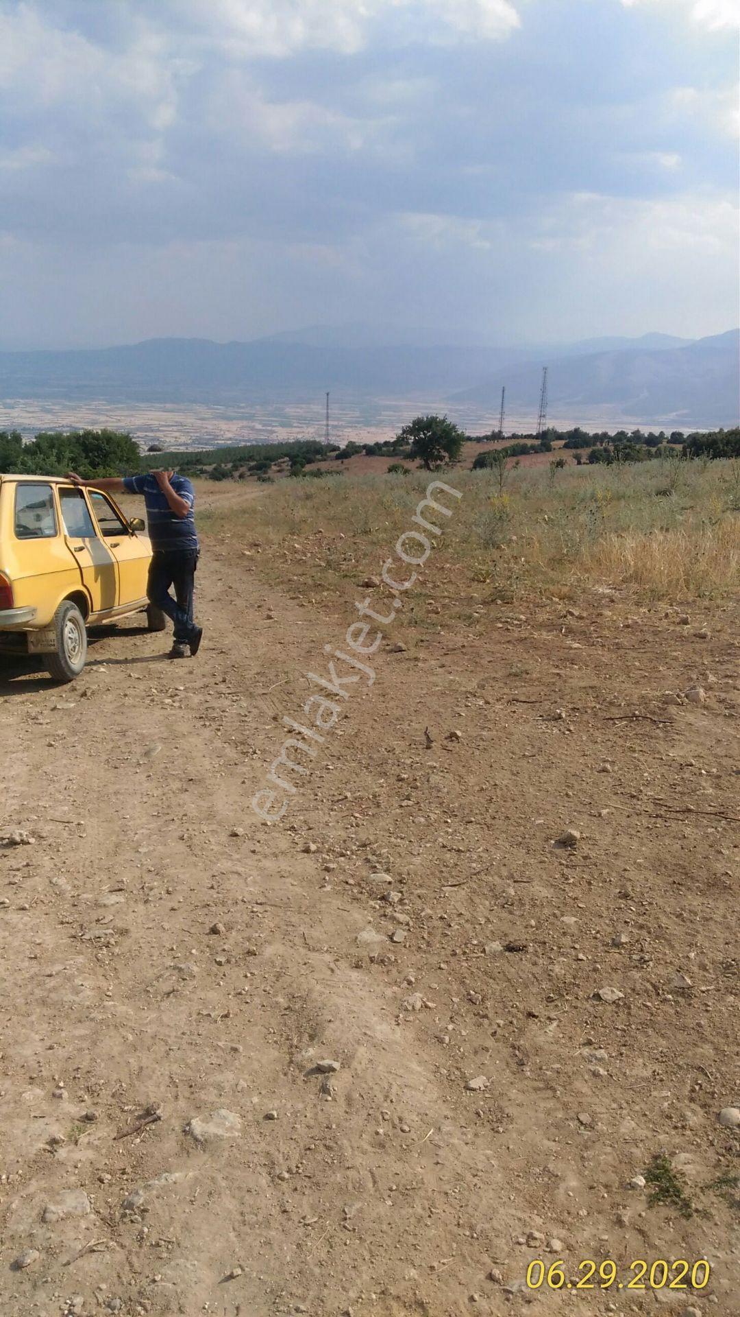 Denizli Ayaz'da Fırsat Tarla - Görsel 3