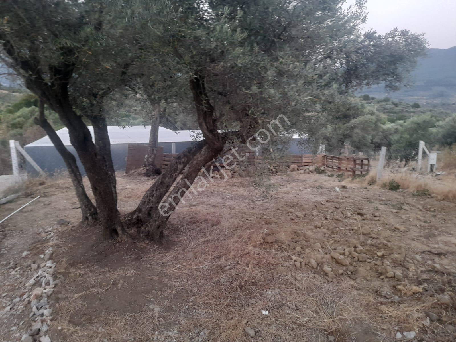 Kemalpaşa Vişnelide Satılık 250m2 Kooperatif Hissesi - Görsel 6