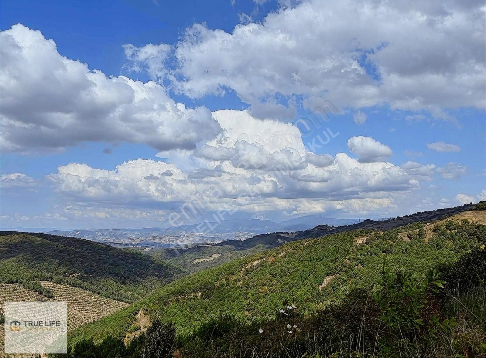 Altınova Sermayecik Köyü Satılık Tarla MÜKEMMEL YATIRIM FIRSATI %5 İMARLI YOL SU MEVCUT TAKASLI TARLA