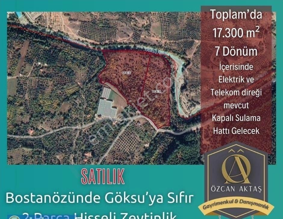 Karaman Merkez Bostanözü Köyü Satılık Zeytinlik Bostanözünde Satılık Hisseli Zeytinlik