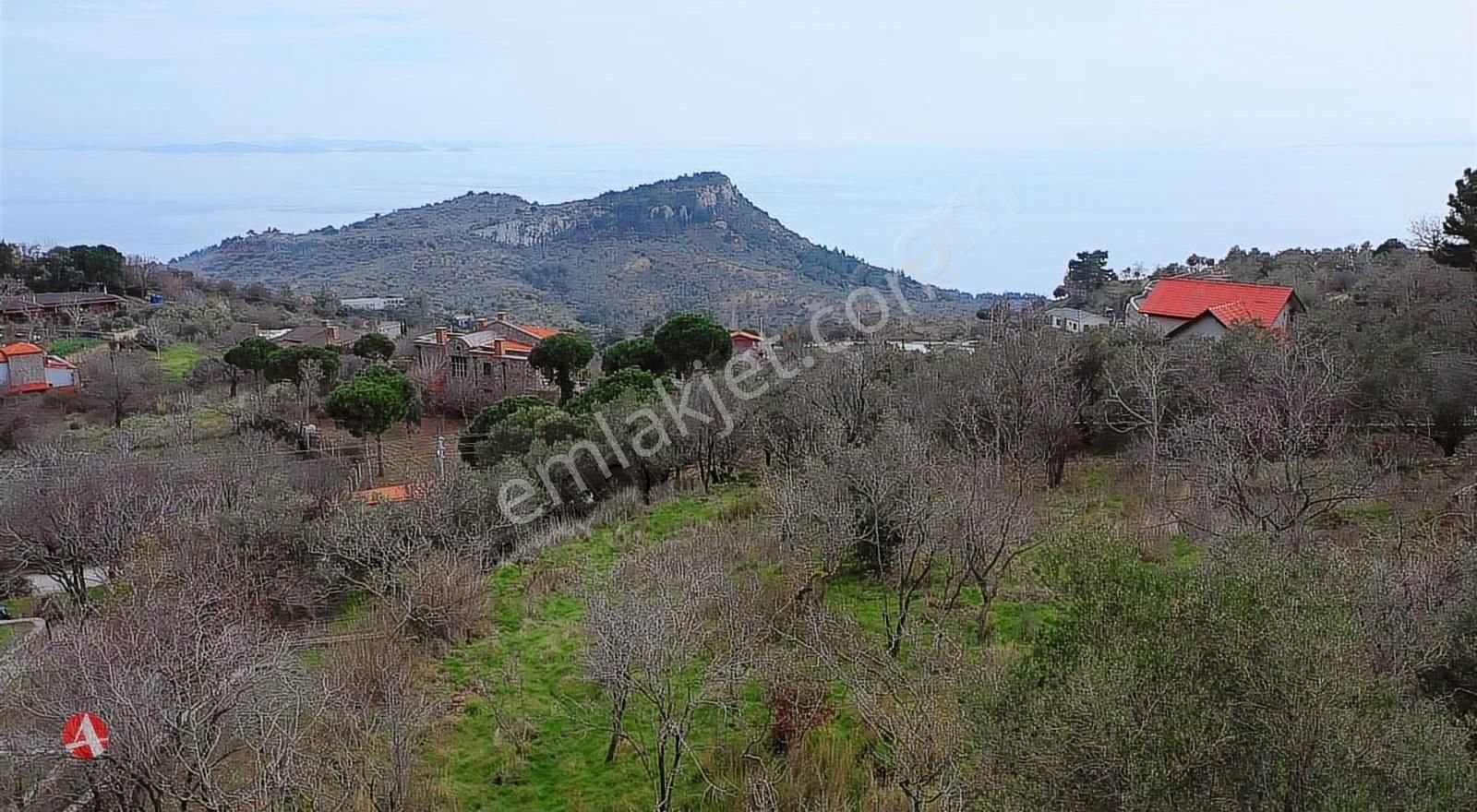 Ayvacık Kayalar Köyü (Kayalar Mücavir) Satılık Tarla ÇANAKKALE, AYVACIK, KAYALAR KÖYÜ, İMAR SINIRINDA SATILIK BAHÇE