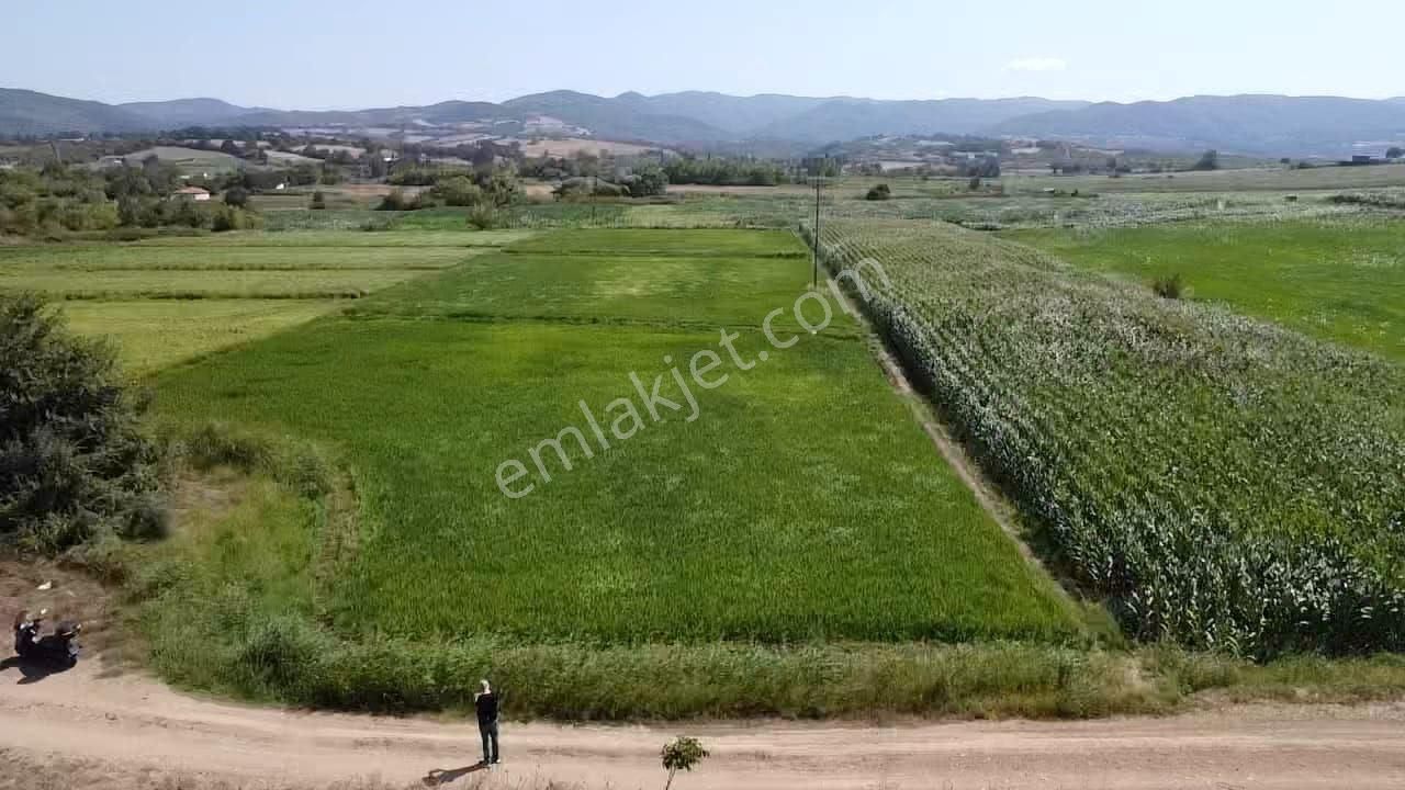 Gönen Keçeler Satılık Tarla Gönen Keçeler Mh Çeltik Tarlamız Satılıktır