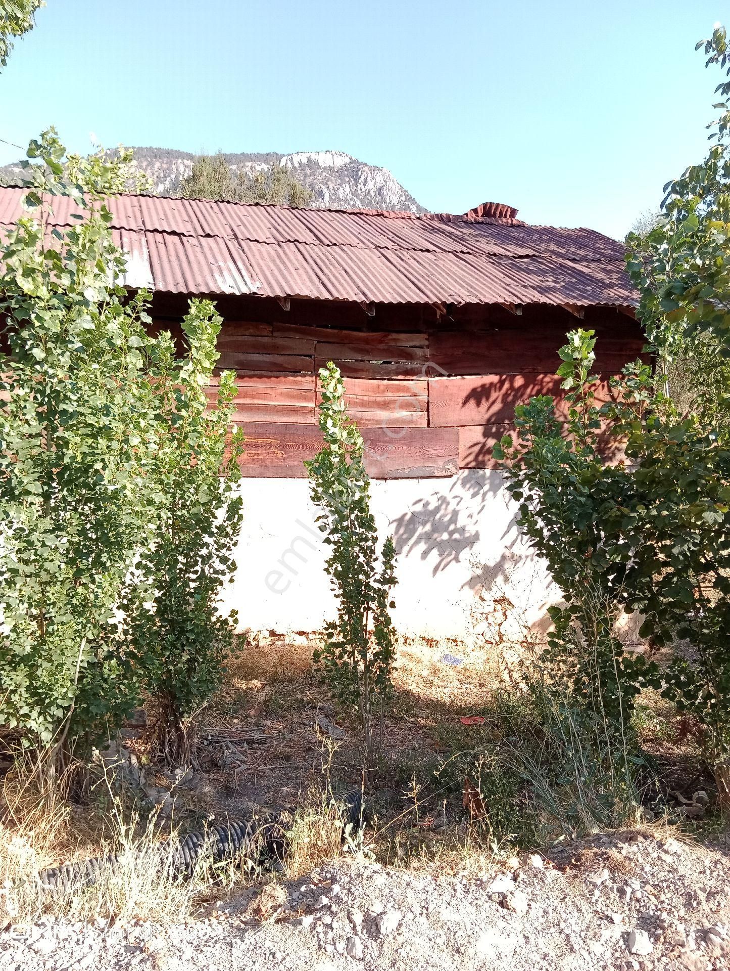 Çameli Bıçakçı Satılık Bağ & Bahçe Çameli Bıçakçı imarlı arsa