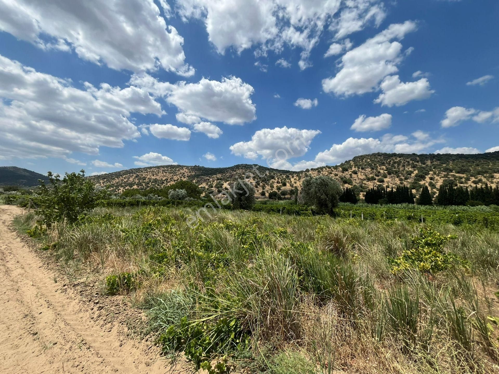 İzmir/menemen/bağcılar Mh:paylı Mülkiyetli Tarla - Görsel 19