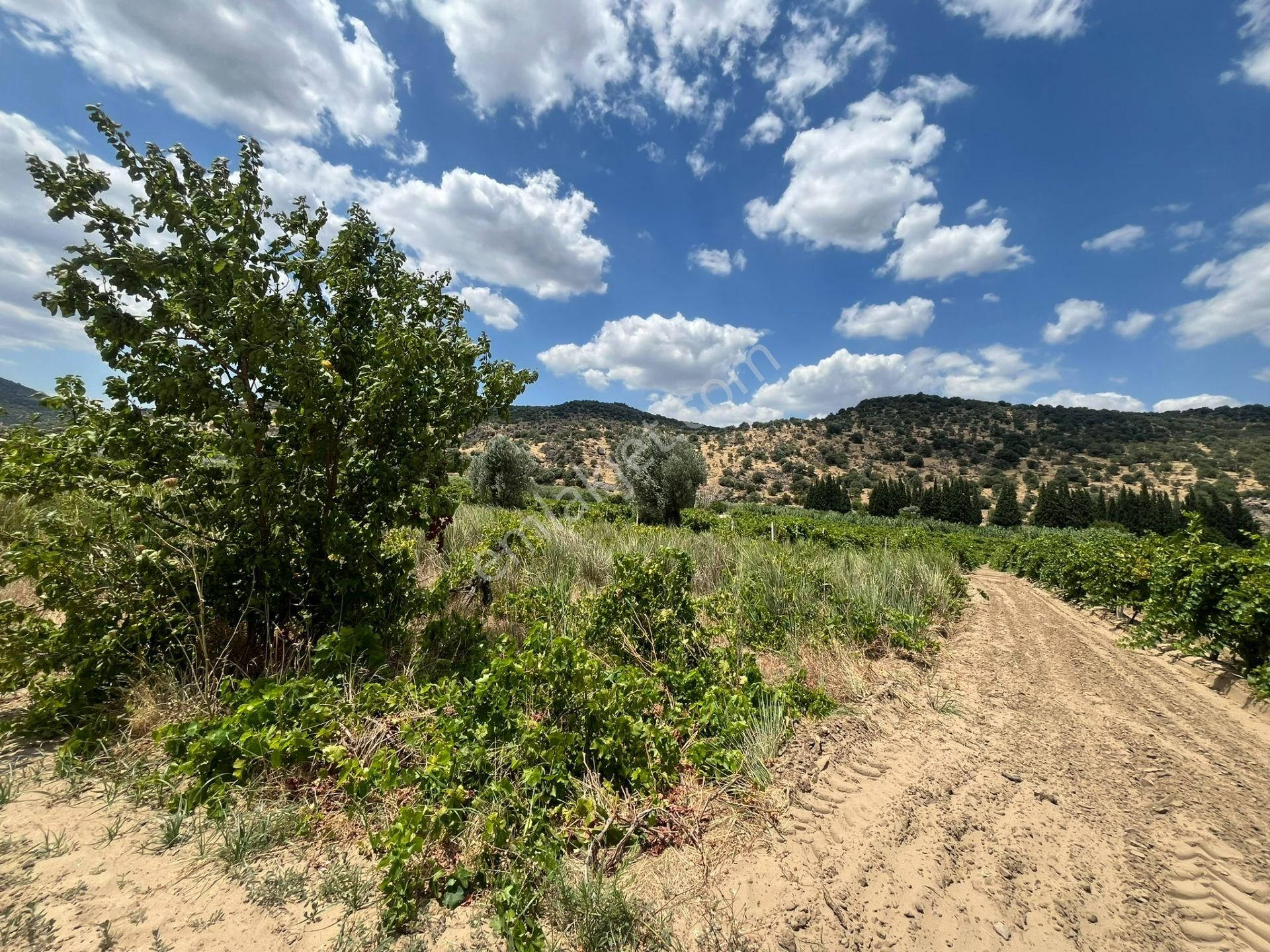 İzmir/menemen/bağcılar Mh:paylı Mülkiyetli Tarla - Görsel 28