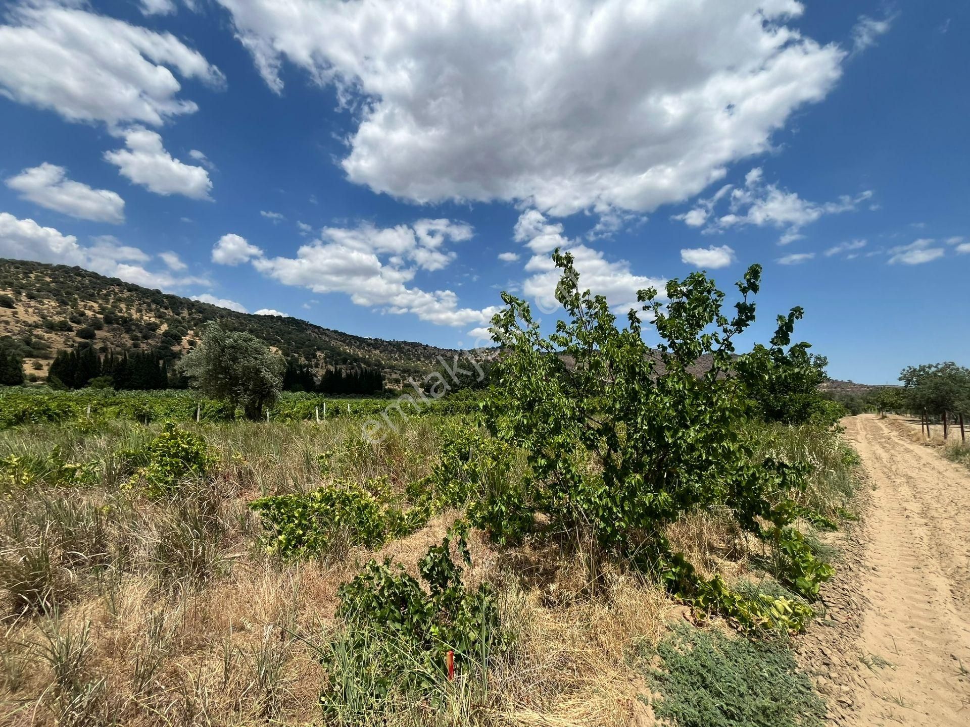 İzmir/menemen/bağcılar Mh:paylı Mülkiyetli Tarla - Görsel 15