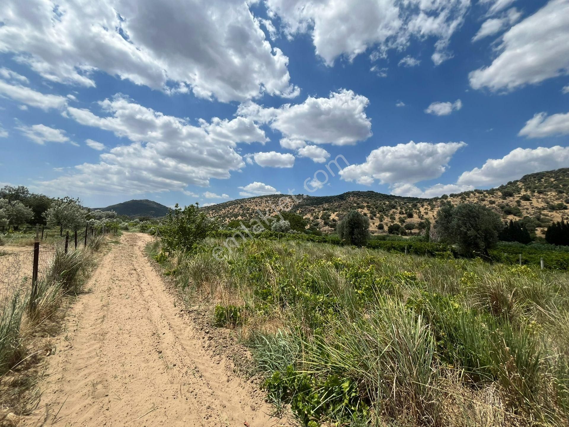 İzmir/menemen/bağcılar Mh:paylı Mülkiyetli Tarla - Görsel 12