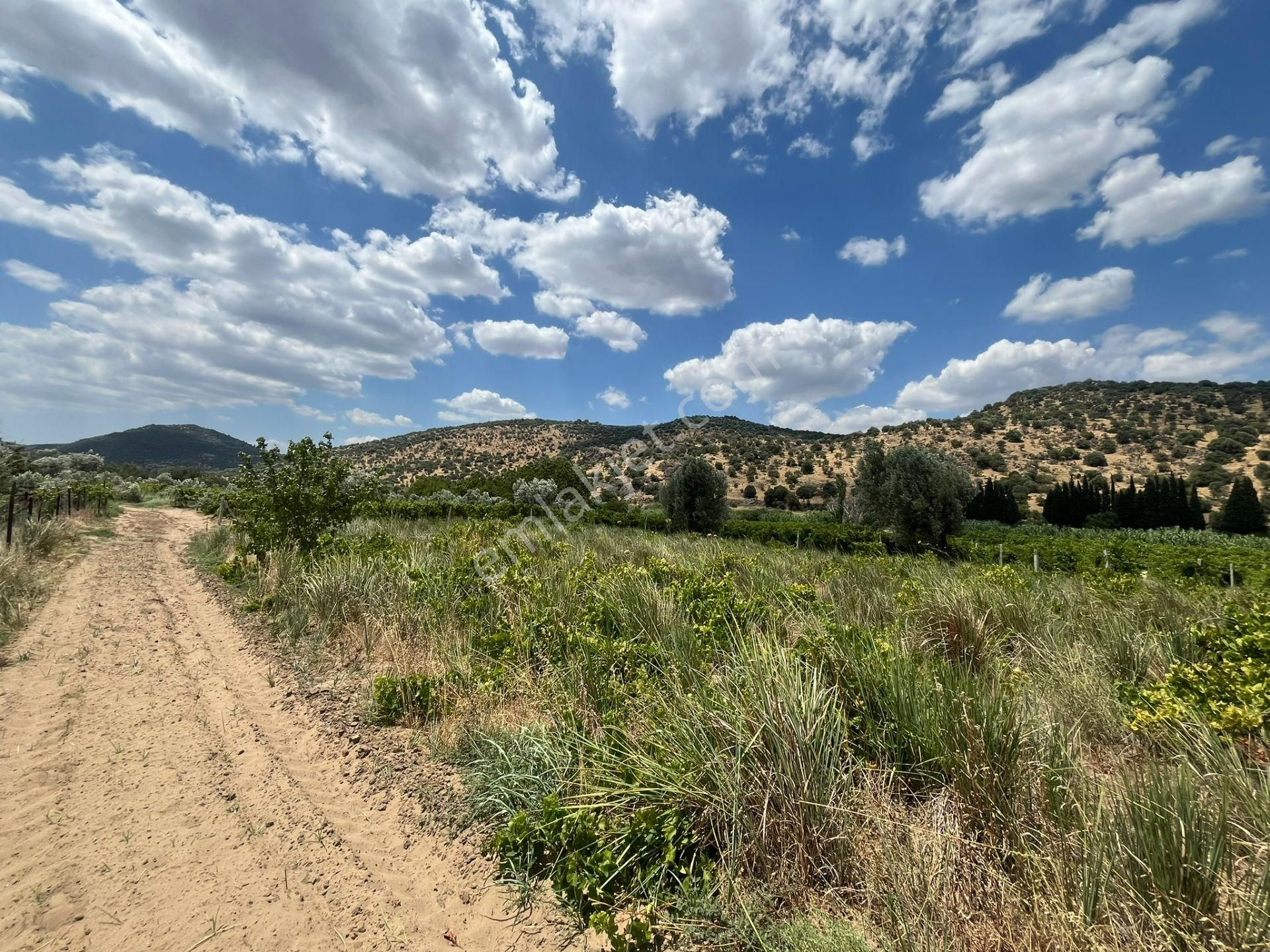 İzmir/menemen/bağcılar Mh:paylı Mülkiyetli Tarla - Görsel 18