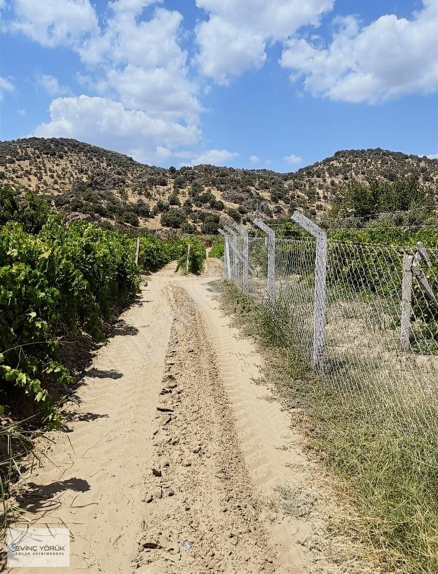 İzmir/menemen/bağcılar Mh:paylı Mülkiyetli Tarla - Görsel 3