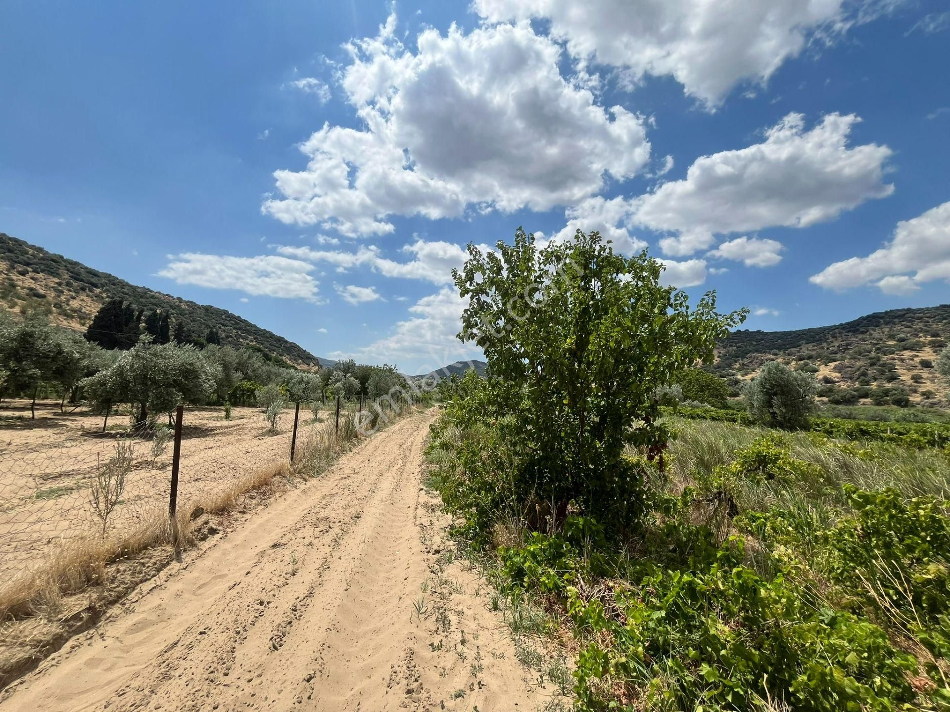 İzmir/menemen/bağcılar Mh:paylı Mülkiyetli Tarla - Görsel 30