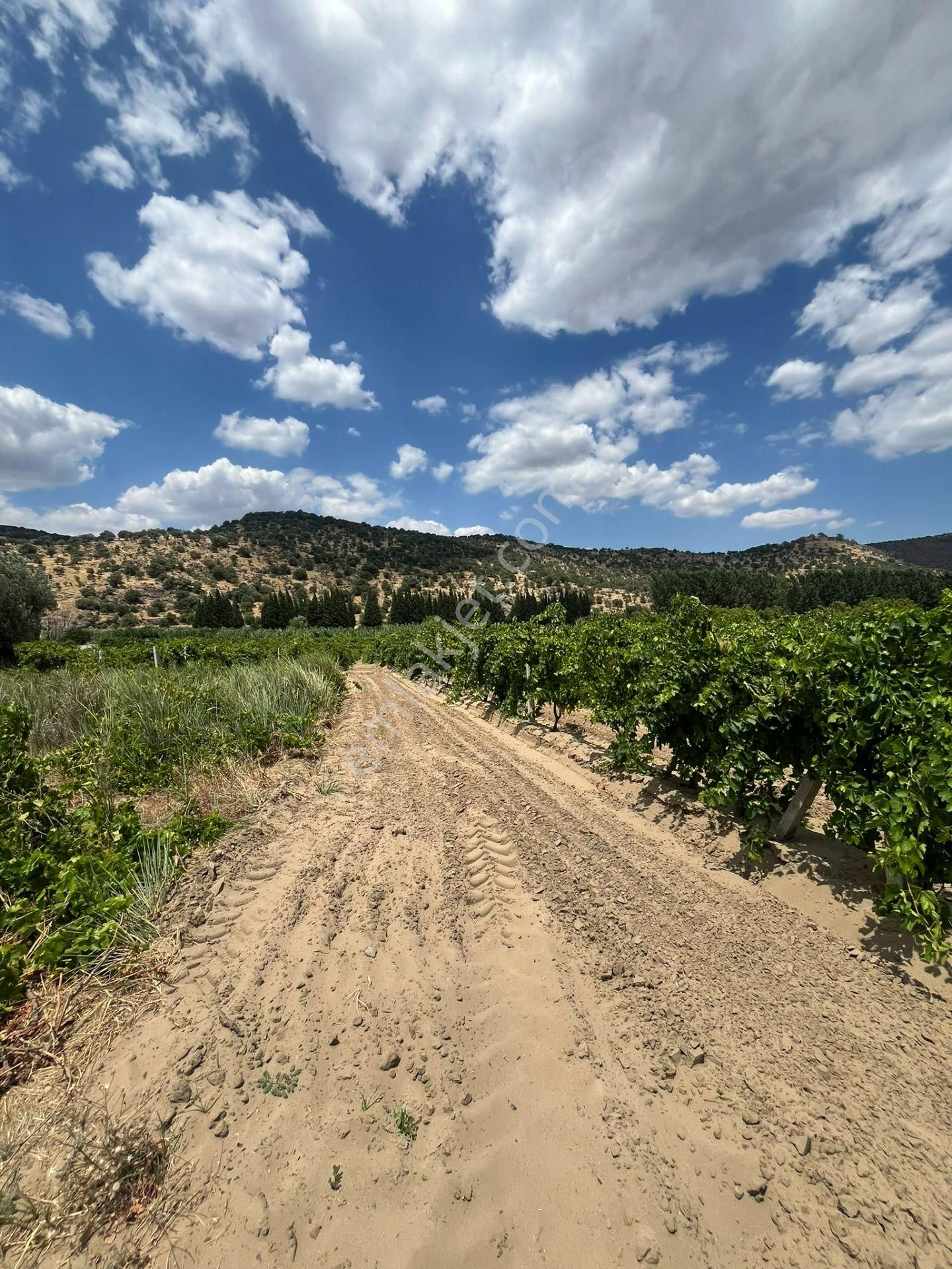 İzmir/menemen/bağcılar Mh:paylı Mülkiyetli Tarla - Görsel 27