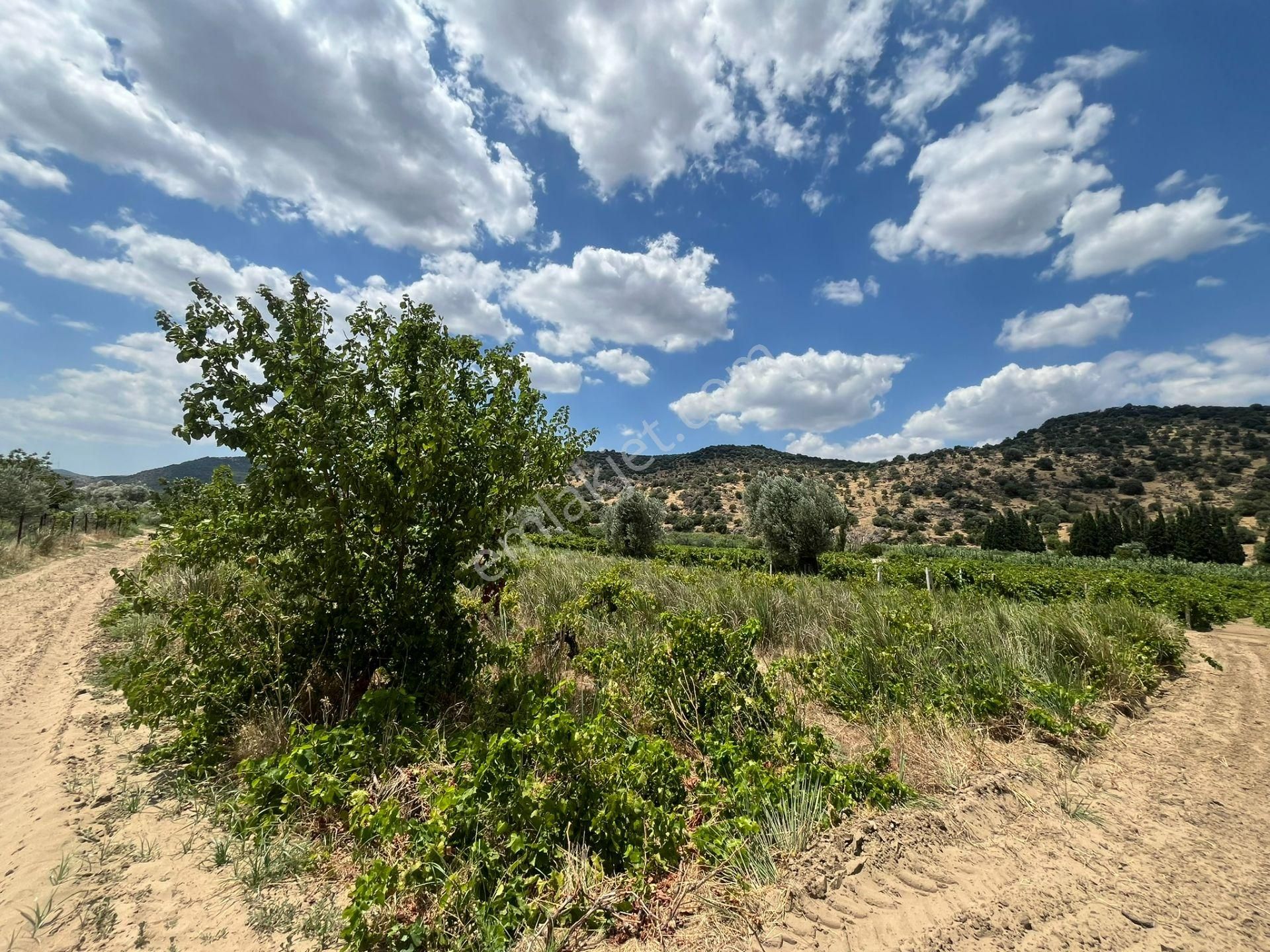 İzmir/menemen/bağcılar Mh:paylı Mülkiyetli Tarla - Görsel 29