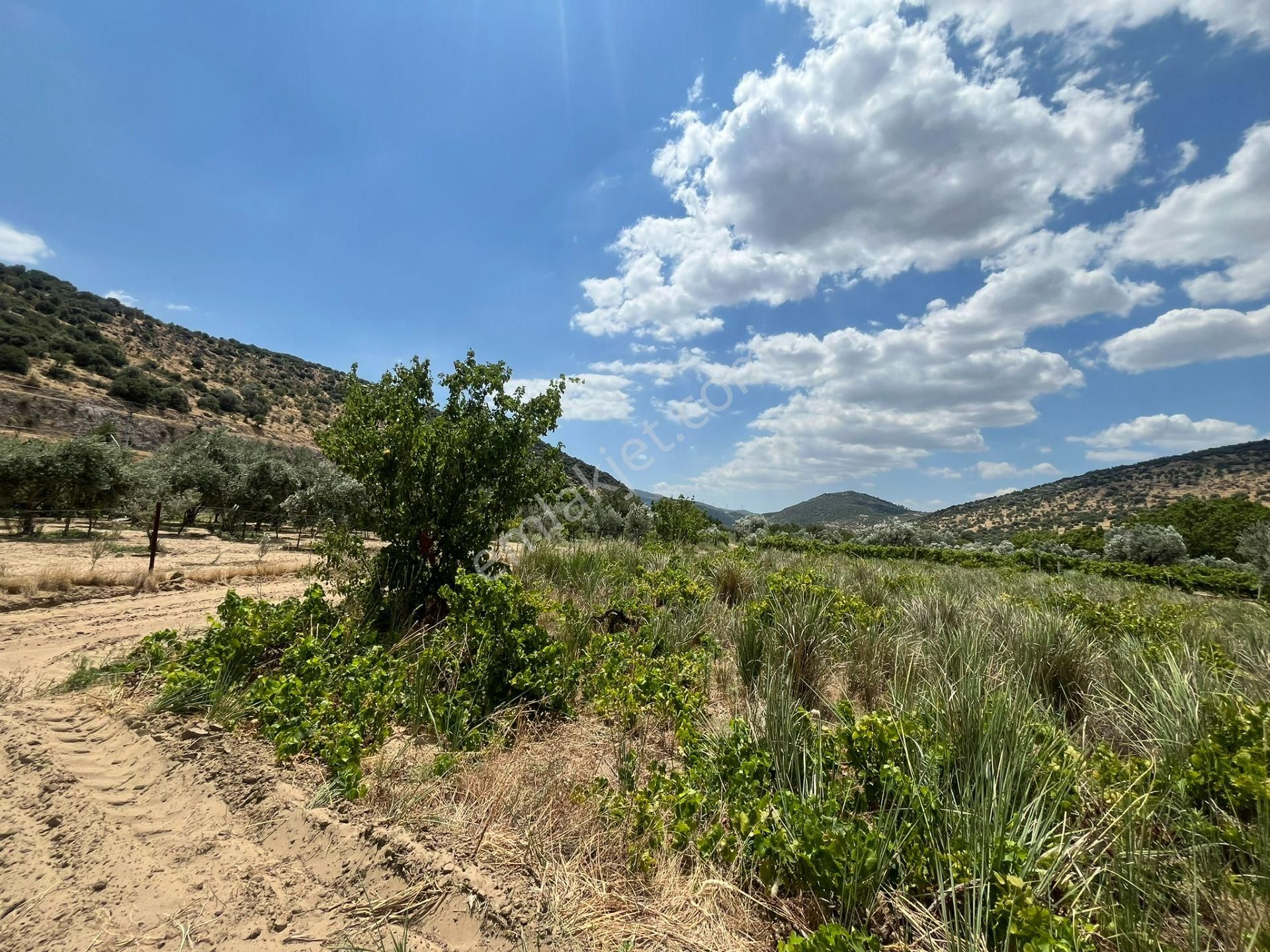 İzmir/menemen/bağcılar Mh:paylı Mülkiyetli Tarla - Görsel 34