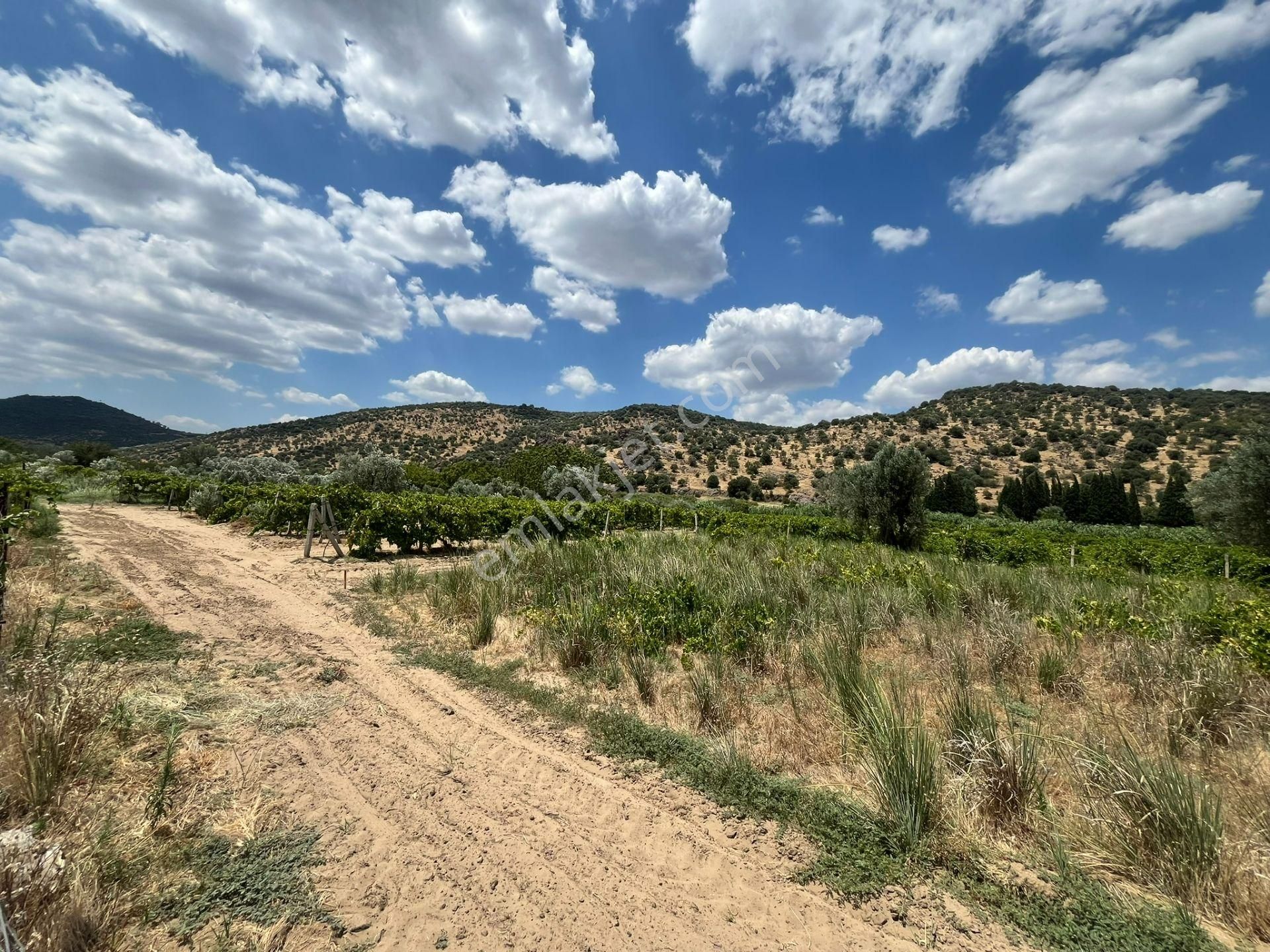 İzmir/menemen/bağcılar Mh:paylı Mülkiyetli Tarla