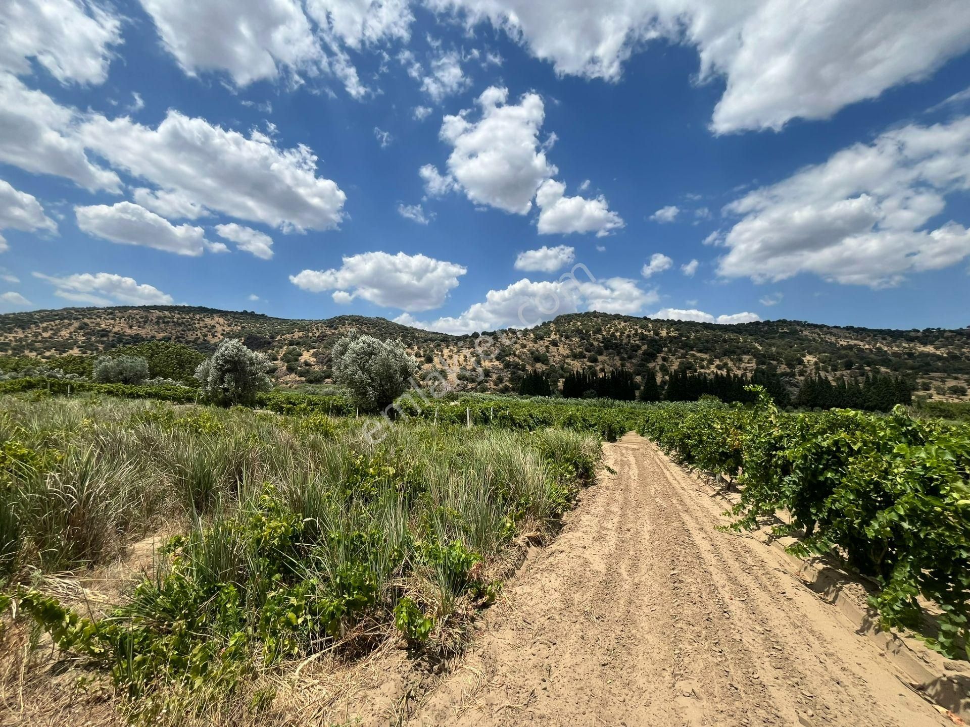 İzmir/menemen/bağcılar Mh:paylı Mülkiyetli Tarla - Görsel 35